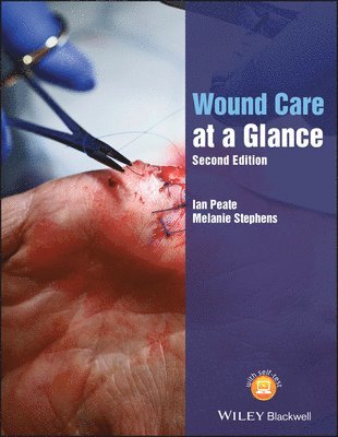 bokomslag Wound Care at a Glance