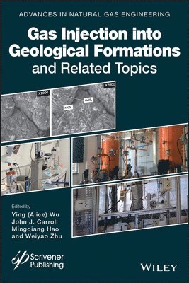 bokomslag Gas Injection into Geological Formations and Related Topics