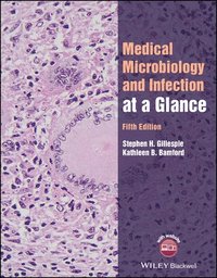 bokomslag Medical Microbiology and Infection at a Glance