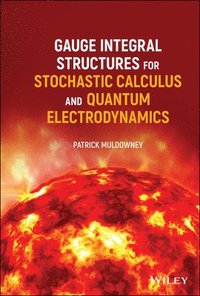 bokomslag Gauge Integral Structures for Stochastic Calculus and Quantum Electrodynamics