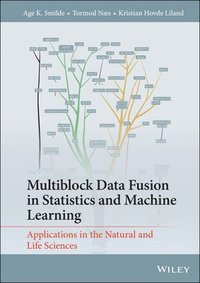 bokomslag Multiblock Data Fusion in Statistics and Machine Learning
