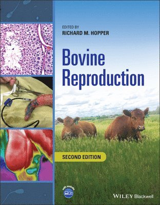 bokomslag Bovine Reproduction