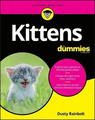 Dusty Rainbolt - Kittens For Dummies, Häftad