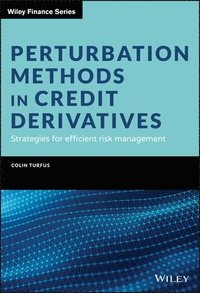 bokomslag Perturbation Methods in Credit Derivatives