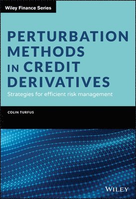 bokomslag Perturbation Methods in Credit Derivatives