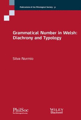 bokomslag Grammatical Number in Welsh