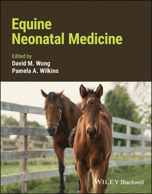 David M. Wong, Pamela A. Wilkins - Equine Neonatal Medicine, Inbunden