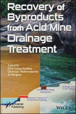 Elvis Fosso-Kankeu, Christian Wolkersdorfer, Jo Burgess - Recovery of Byproducts from Acid Mine Drainage Treatment, Inbunden