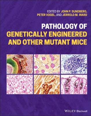 John P. Sundberg, Peter Vogel, Jerrold M. Ward - Pathology of Genetically Engineered and Other Mutant Mice, Inbunden