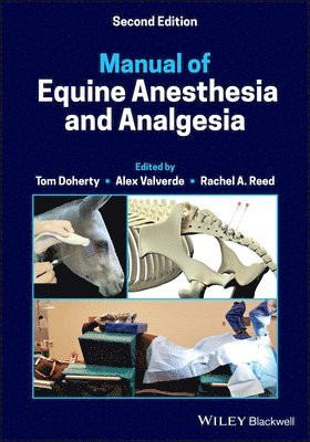 Tom Doherty, Alexander Valverde, Rachel A. Reed, Tom (University of Tennessee) Doherty, Alexander (University of Florida) Valverde, USA) Reed, Rachel A. (University of Georgia College of Veterinary Medicine, Athens, GA, Rachel A Reed - Manual of Equine Anesthesia and Analgesia, Häftad