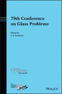 bokomslag 79th Conference on Glass Problems