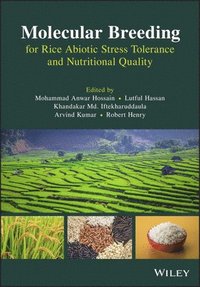 bokomslag Molecular Breeding for Rice Abiotic Stress Tolerance and Nutritional Quality