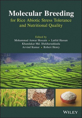 Mohammad Anwar Hossain, Lutful Hassan, Khandakar Md. Iftekharuddaula, Arvind Kumar, Robert Henry - Molecular Breeding for Rice Abiotic Stress Tolerance and Nutritional Quality, Inbunden