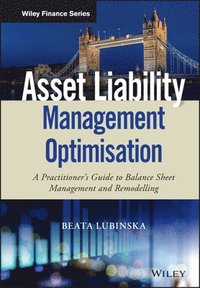 bokomslag Asset Liability Management Optimisation