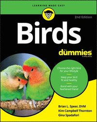 bokomslag Birds For Dummies
