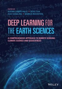 bokomslag Deep Learning for the Earth Sciences