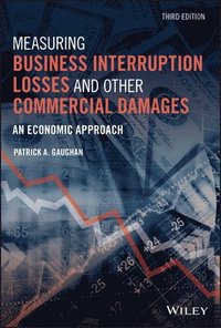 bokomslag Measuring Business Interruption Losses and Other Commercial Damages