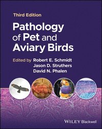 bokomslag Pathology of Pet and Aviary Birds