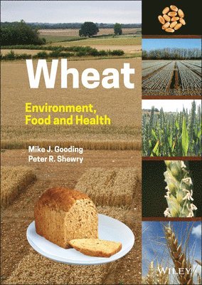 Mike J. Gooding, Peter R. Shewry, Mike J Gooding, Peter R Shewry - Wheat, Inbunden