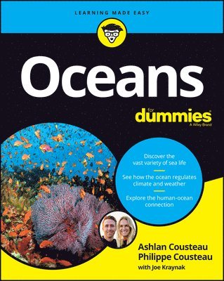 bokomslag Oceans For Dummies