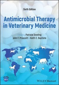 bokomslag Antimicrobial Therapy in Veterinary Medicine