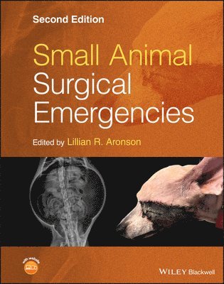 bokomslag Small Animal Surgical Emergencies