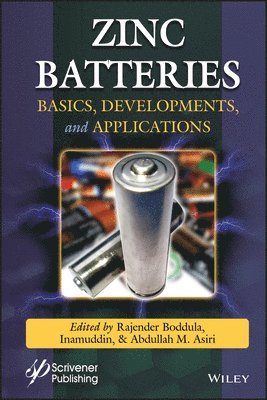 Zinc Batteries 1