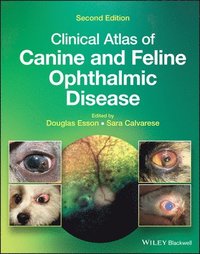 bokomslag Clinical Atlas of Canine and Feline Ophthalmic Disease