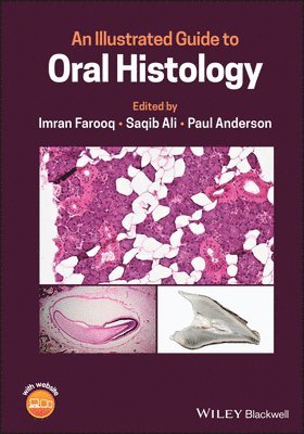 An Illustrated Guide to Oral Histology 1