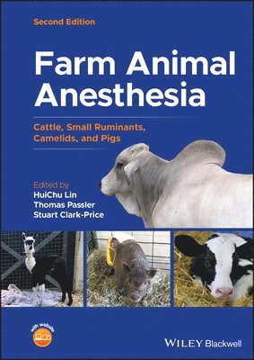 bokomslag Farm Animal Anesthesia