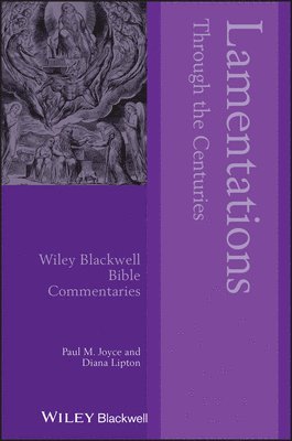 Paul M. Joyce, Diana Lipton, David M Gunn, John F a Sawyer - Lamentations Through the Centuries, Häftad
