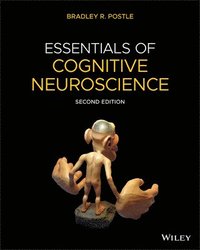 bokomslag Essentials of Cognitive Neuroscience