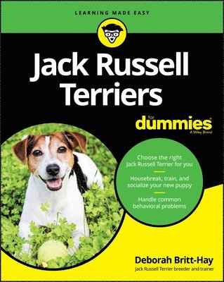 bokomslag Jack Russell Terriers For Dummies