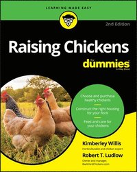 bokomslag Raising Chickens For Dummies