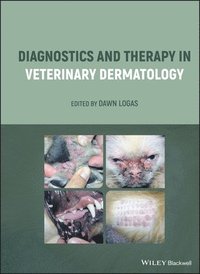 bokomslag Diagnostics and Therapy in Veterinary Dermatology