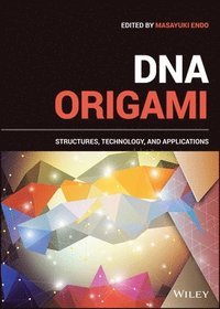bokomslag DNA Origami