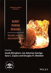 bokomslag Burnt Human Remains