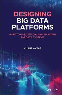 bokomslag Designing Big Data Platforms