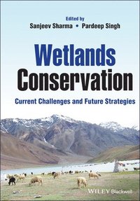 bokomslag Wetlands Conservation