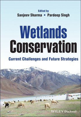 Wetlands Conservation 1