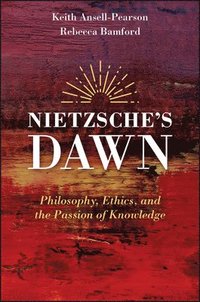 bokomslag Nietzsche's Dawn