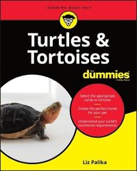 bokomslag Turtles & Tortoises For Dummies