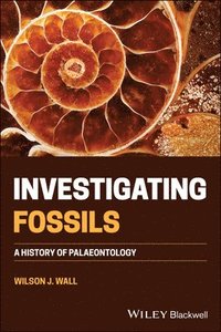 bokomslag Investigating Fossils