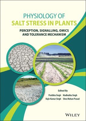 Physiology of Salt Stress in Plants 1