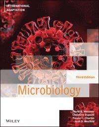 bokomslag Microbiology, 3rd Edition, International Adaptation