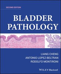 bokomslag Bladder Pathology