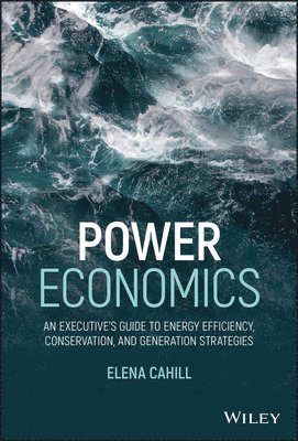 bokomslag Power Economics