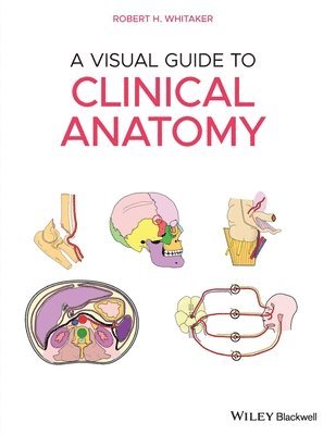 Robert H. Whitaker - Visual Guide to Clinical Anatomy, Häftad