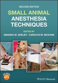 bokomslag Small Animal Anesthesia Techniques