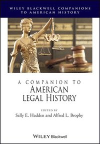 bokomslag A Companion to American Legal History